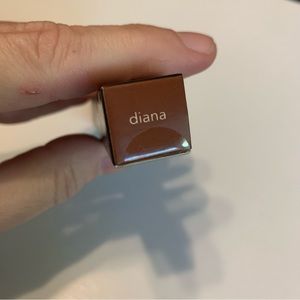 Karity The Mattes Liquid Lipstick - Diana NWT NLA Long-lasting